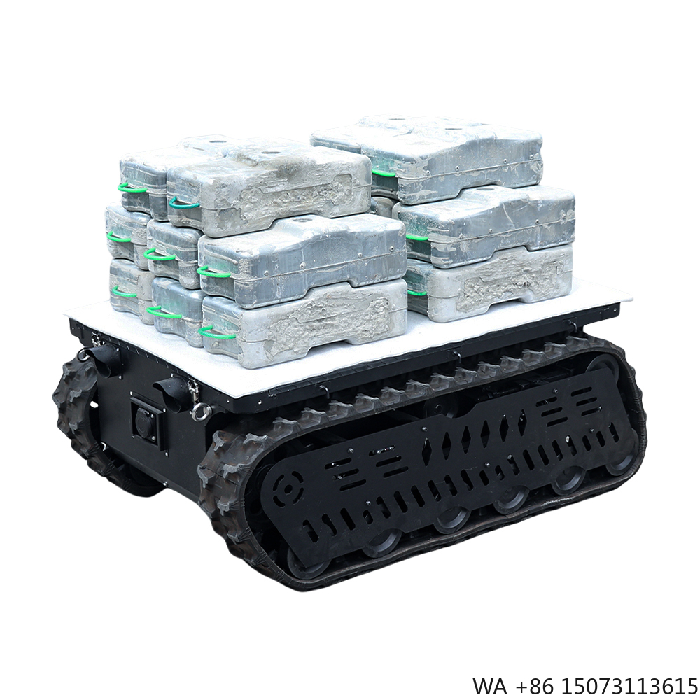 300 600kg Load RC Tank Crawler - đánh giá và giá Brushless Motor